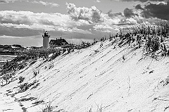 Sand Dunes By Race Point Light on Cape Cod -BW